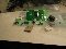 Toole Audio Products